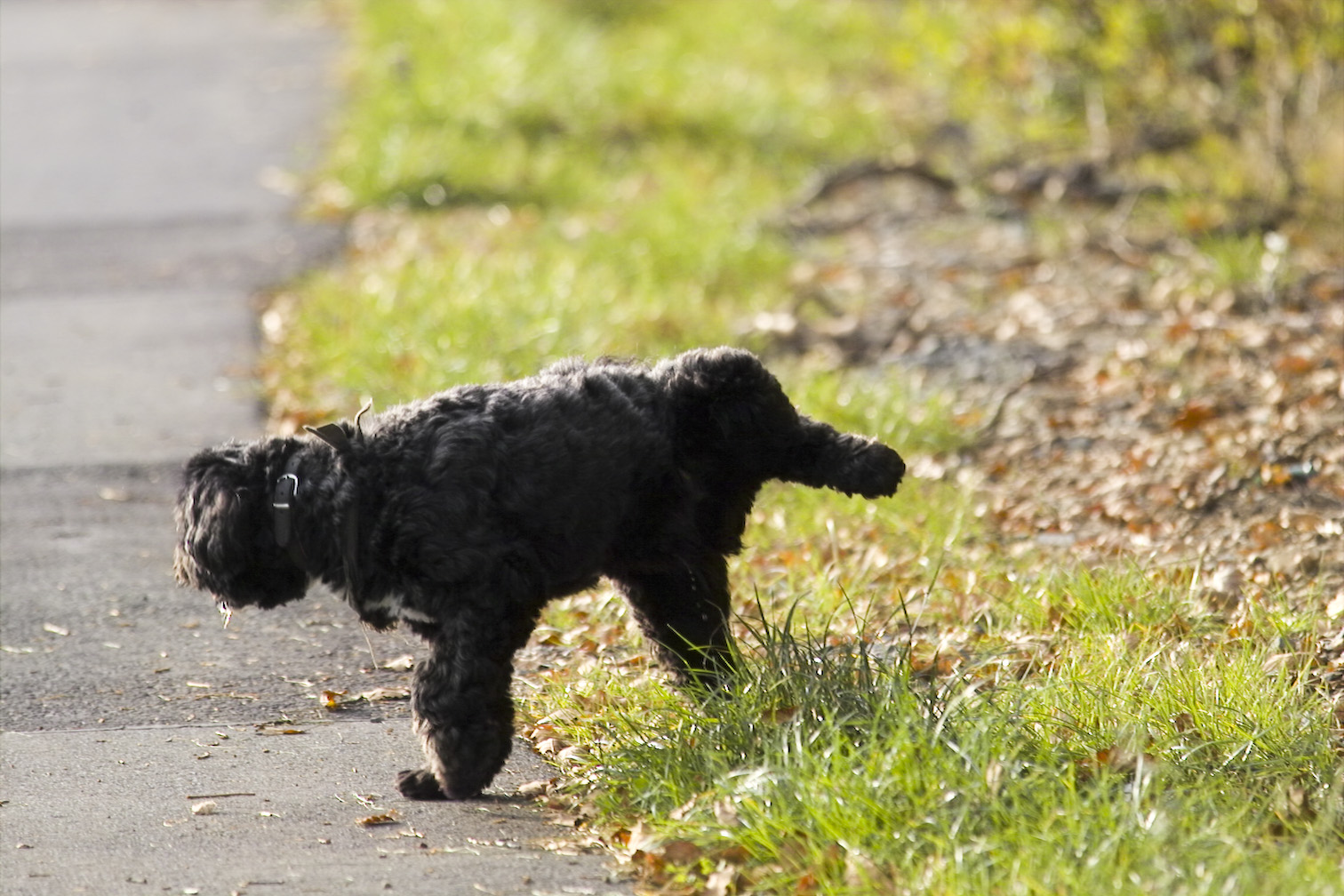 Edersee 10 2007img04165