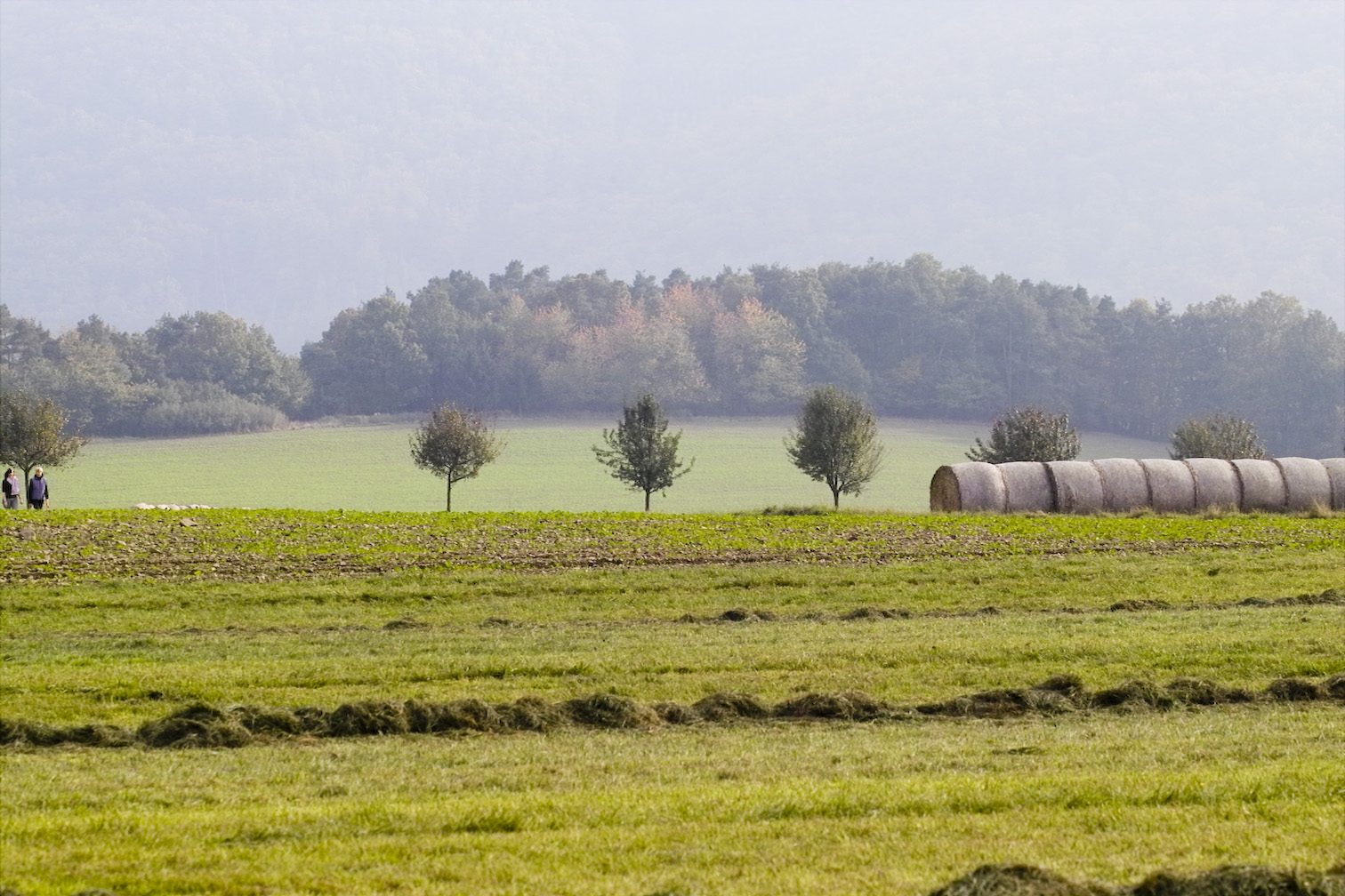 Edersee 10 2007img04166