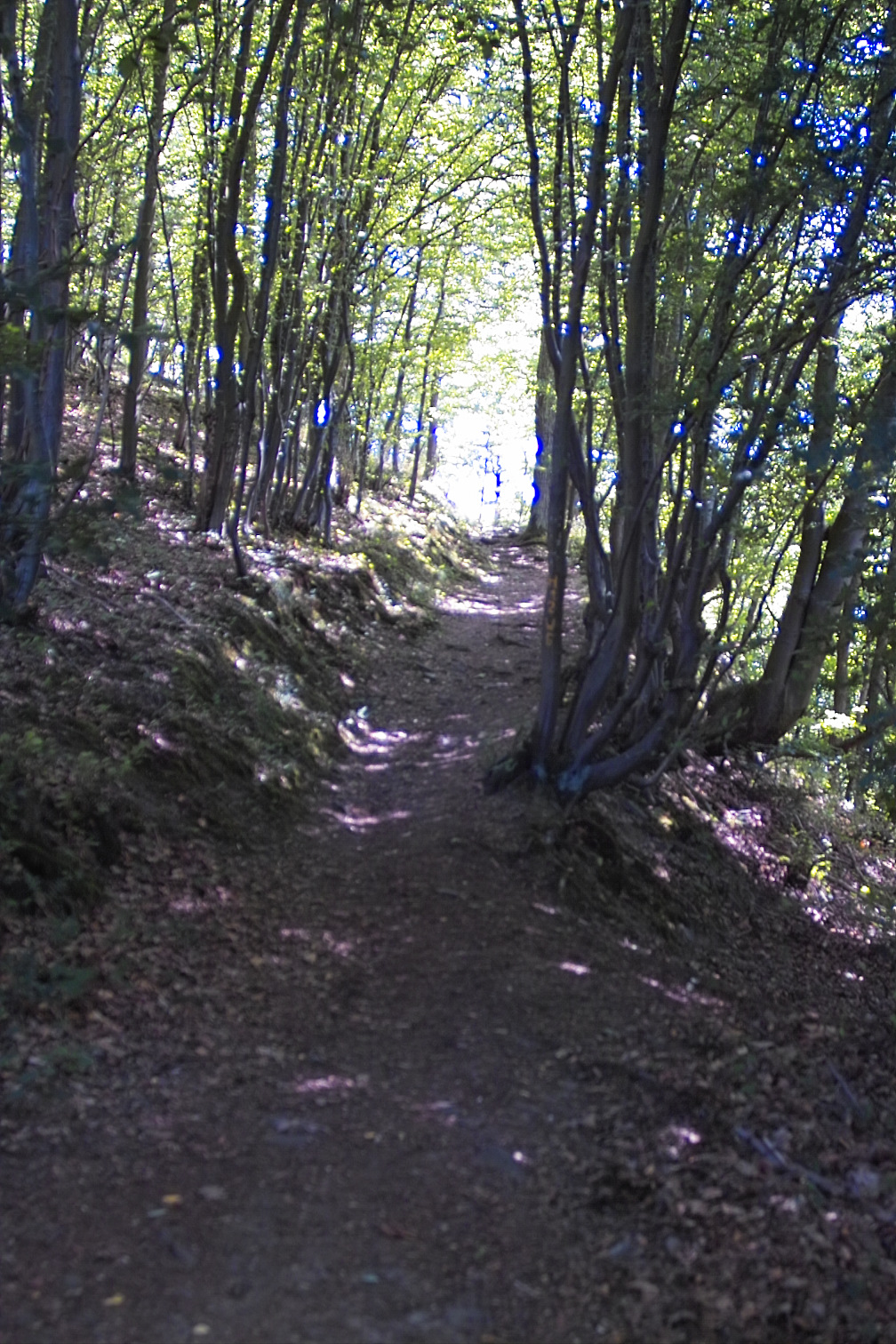 Ederseefotos 2005 img02283