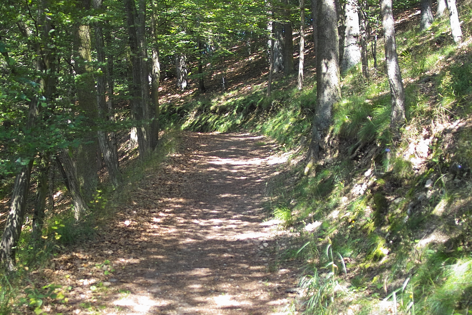 Ederseefotos 2005 img02308