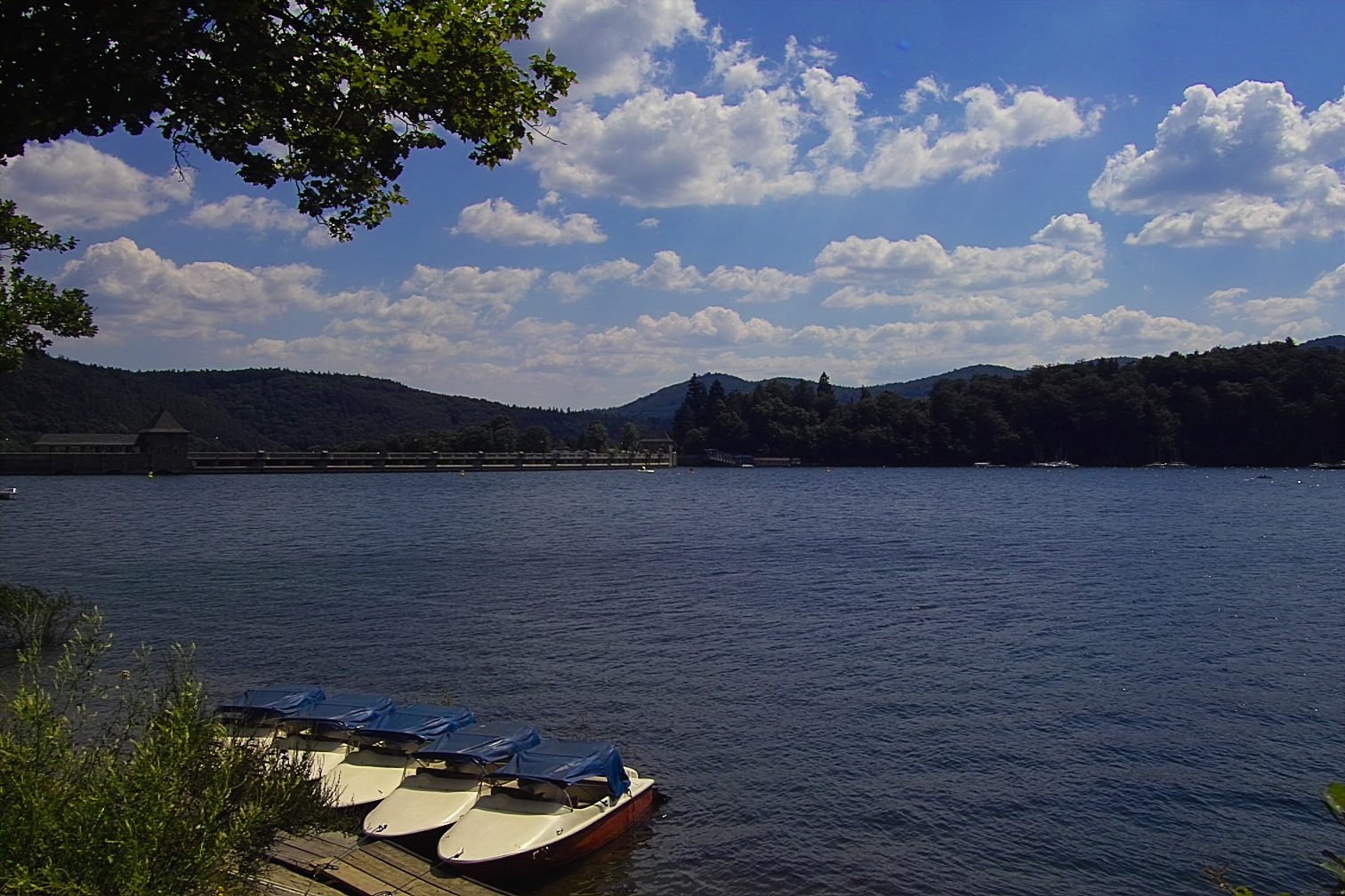 Ederseefotos 2005 img02314